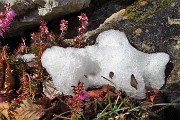 32 La neve si scioglie al sole ...arriva la primavera!